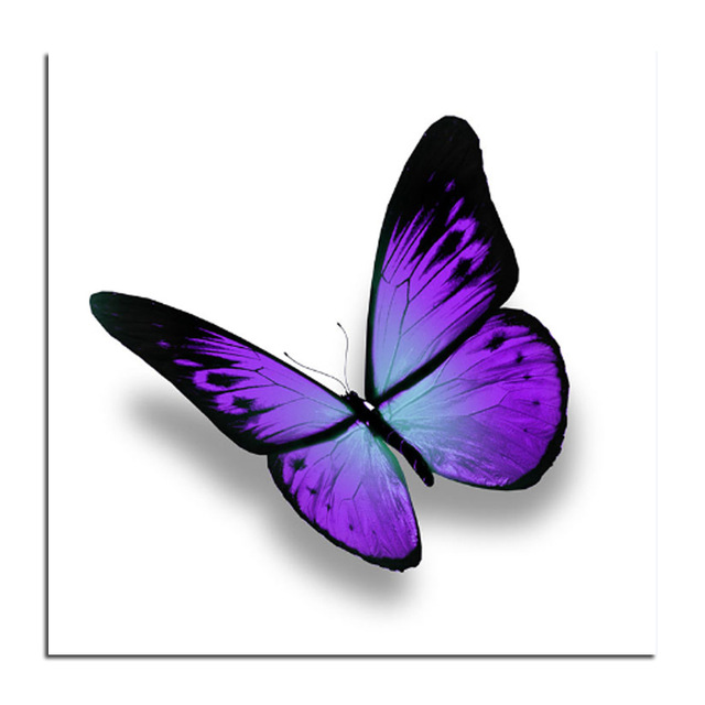 purple butterfly drawing