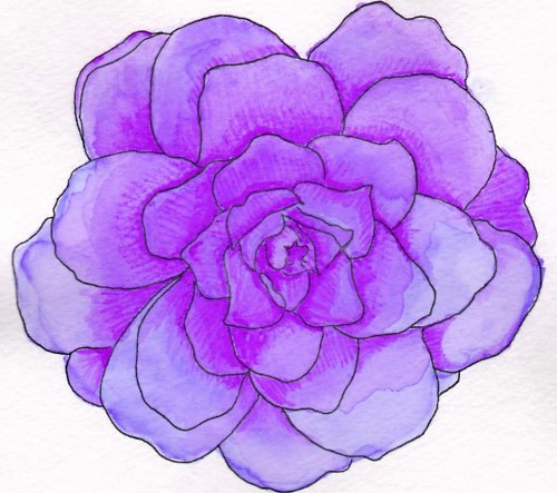 Purple Flowers Drawing at GetDrawings | Free download