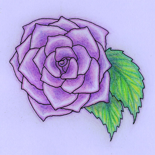 Purple Rose Drawing at GetDrawings Free download