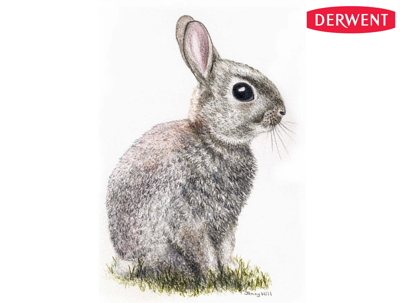 Rabbit Pencil Drawing at GetDrawings | Free download