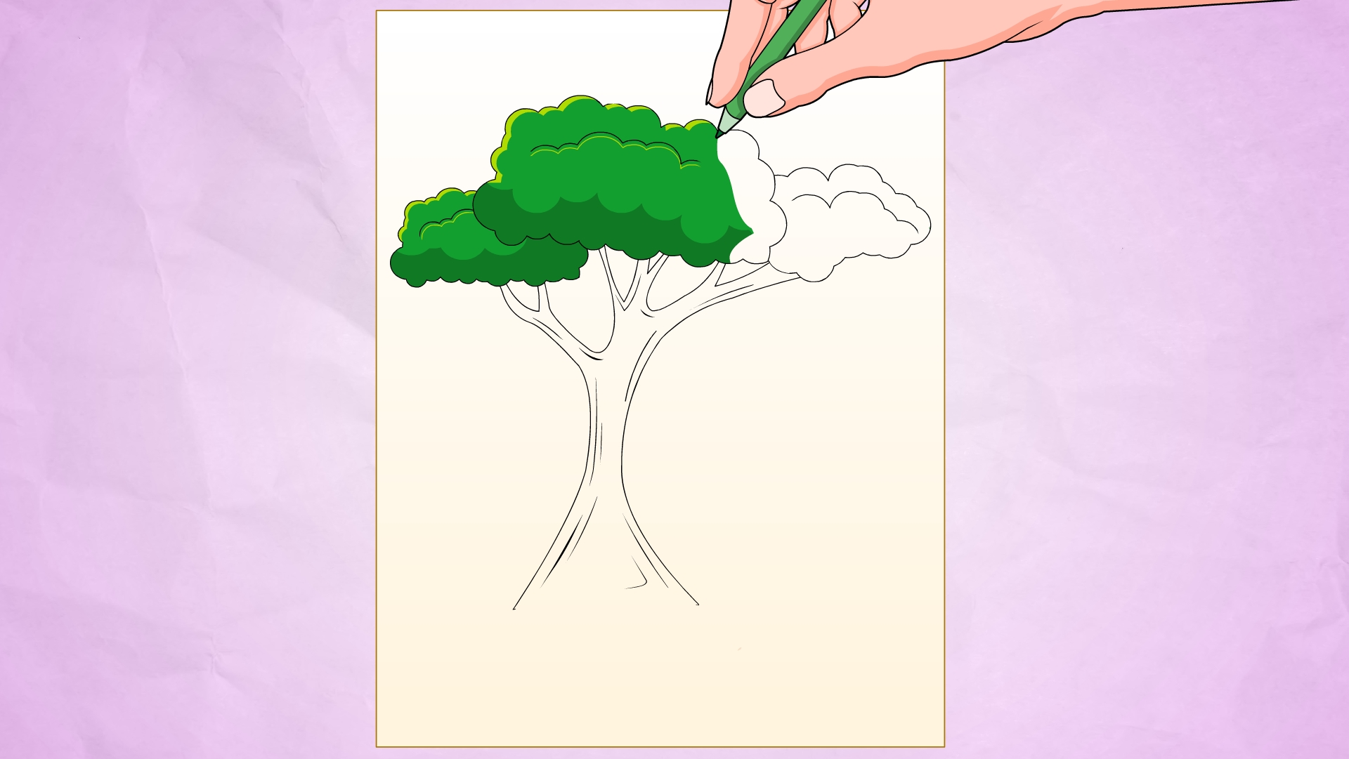 Rainforest Trees Drawing at GetDrawings | Free download