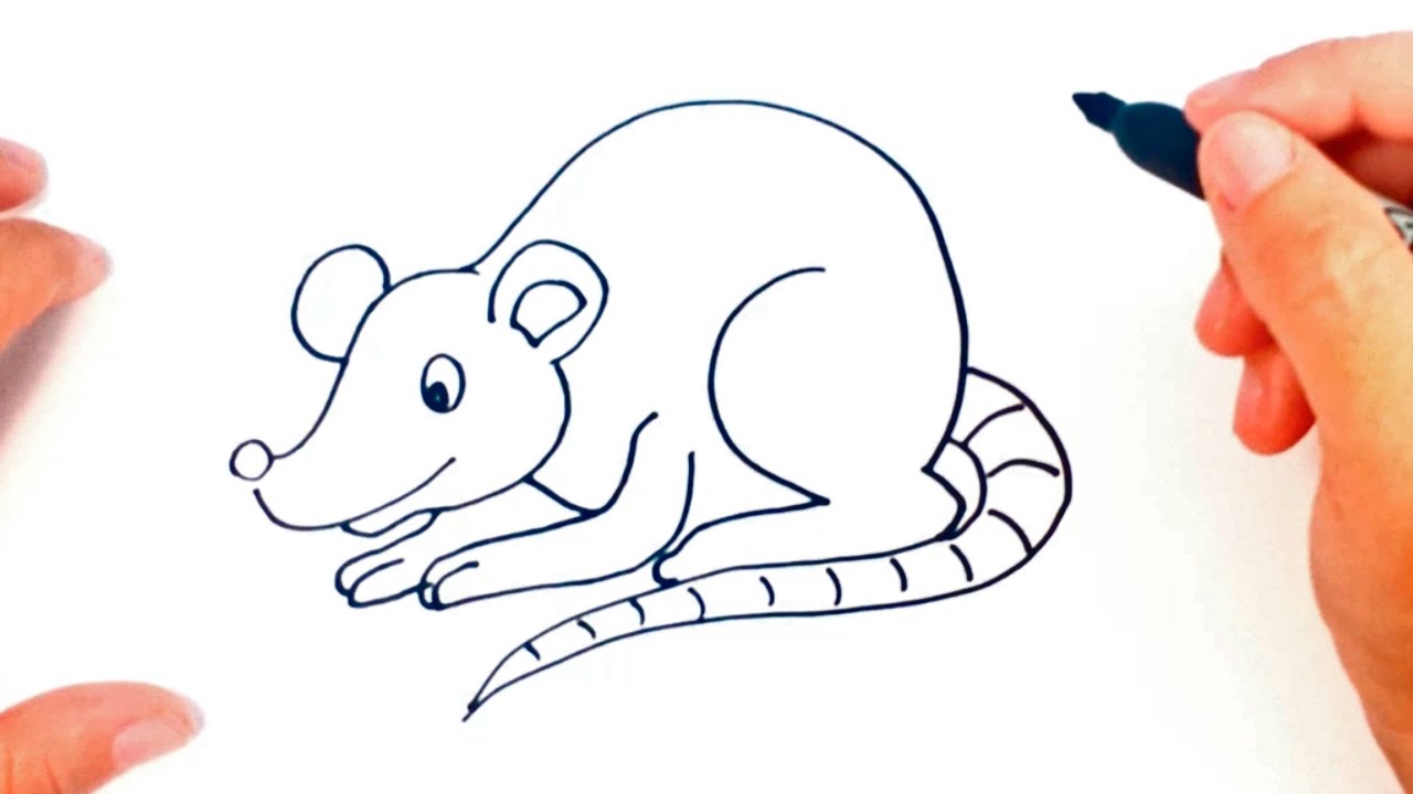 rat-drawing-at-getdrawings-free-download