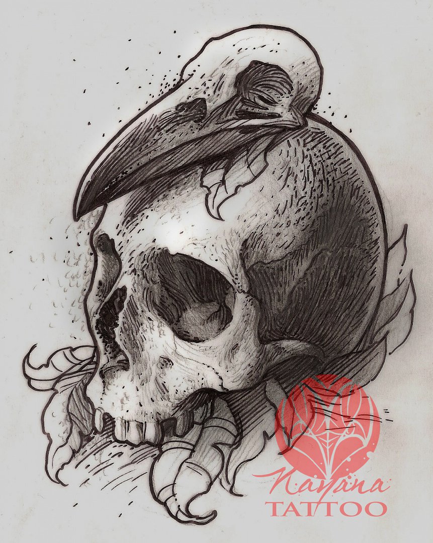 Raven Skull Drawing at GetDrawings Free download