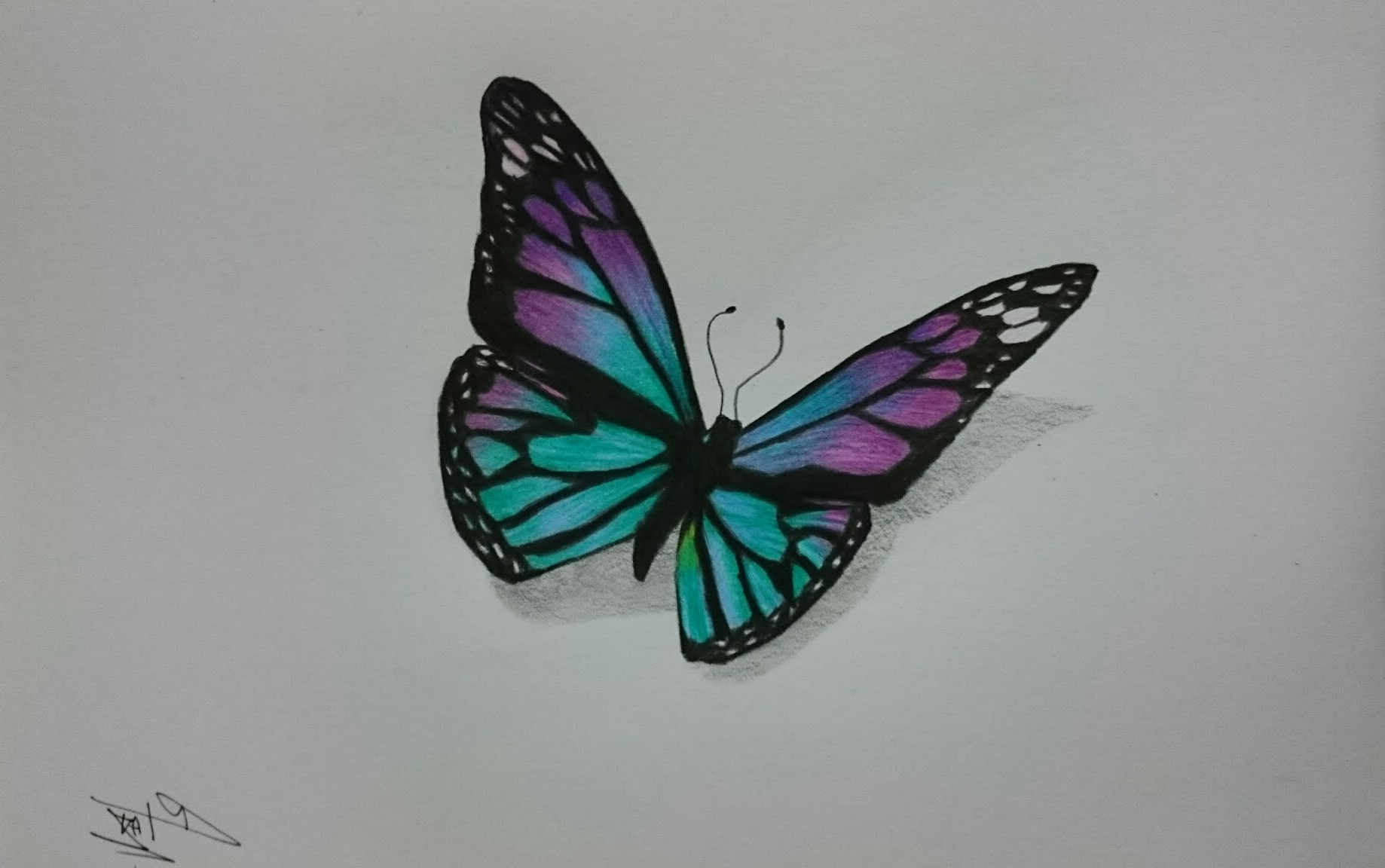 Learn how to draw 3d butterfly pictures using these outlines or print just ...