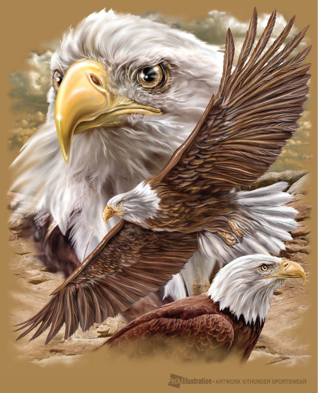 Realistic Eagle Drawing at GetDrawings Free download