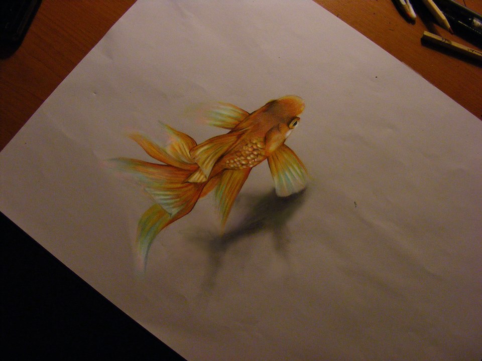 Realistic Fish Drawing at GetDrawings Free download