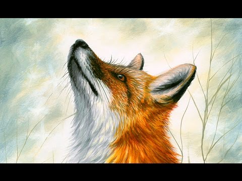 Realistic Fox Drawing at GetDrawings | Free download