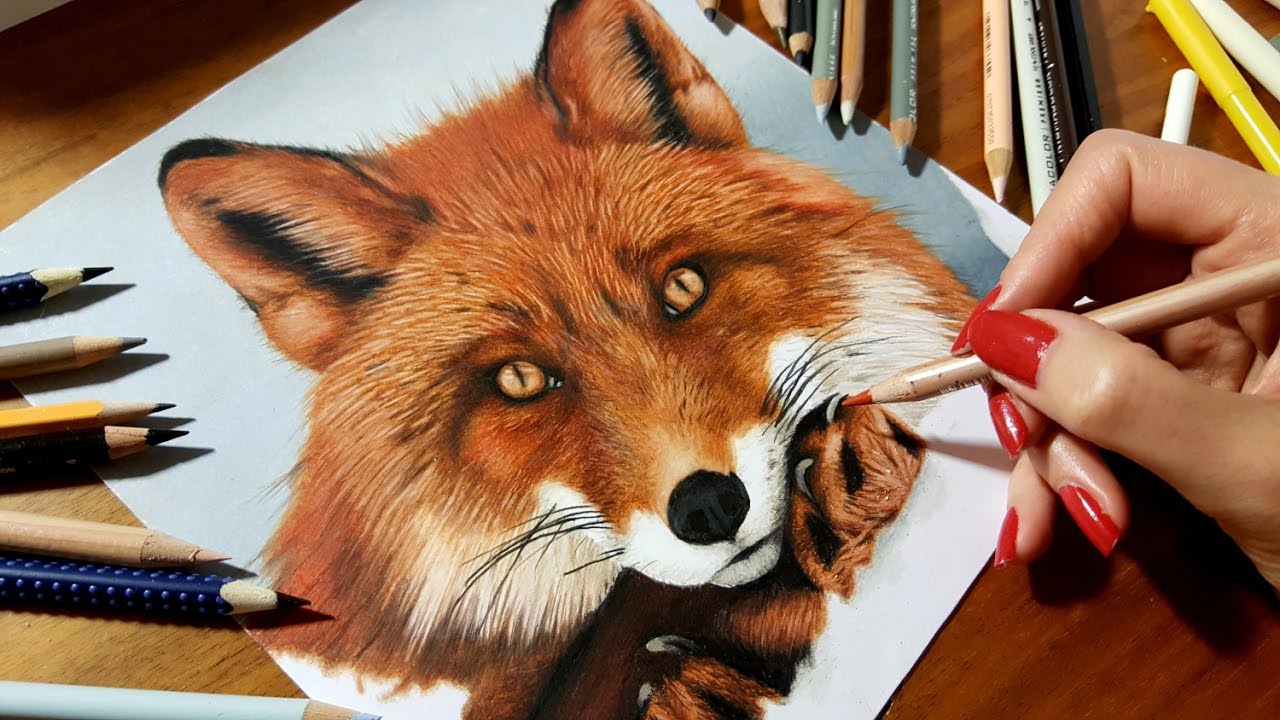 How To Draw A Real Fox Step By Step - Design Talk