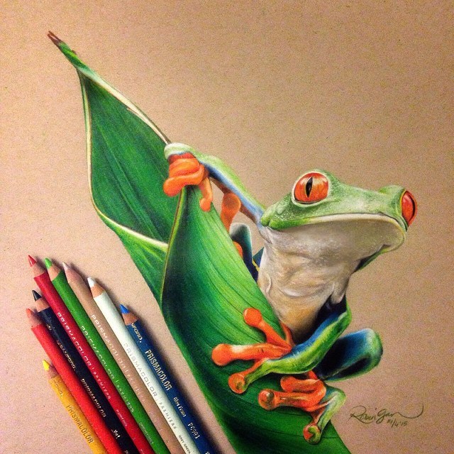 Realistic Frog Drawing at GetDrawings Free download
