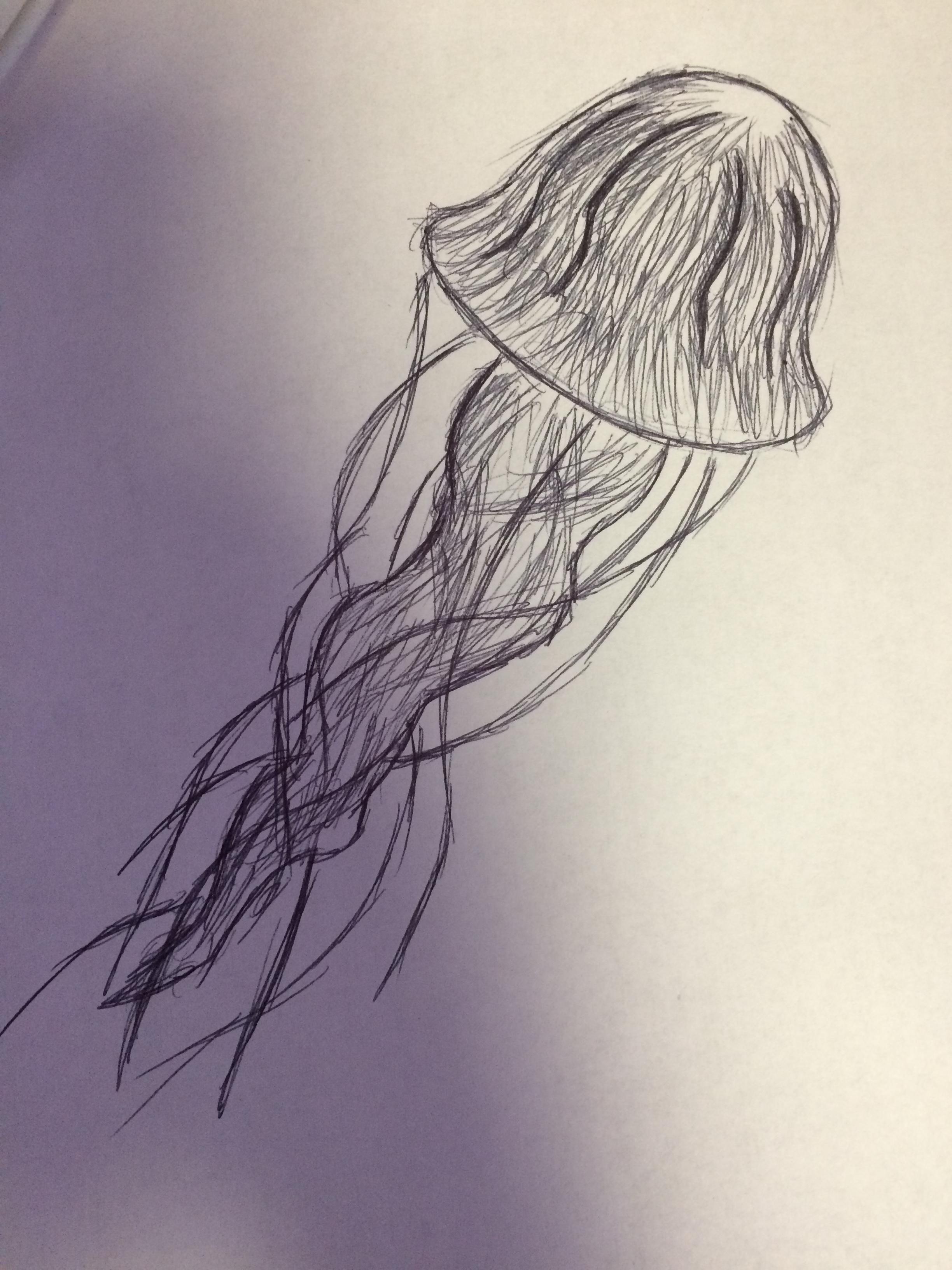 Realistic Jellyfish Drawing at GetDrawings Free download