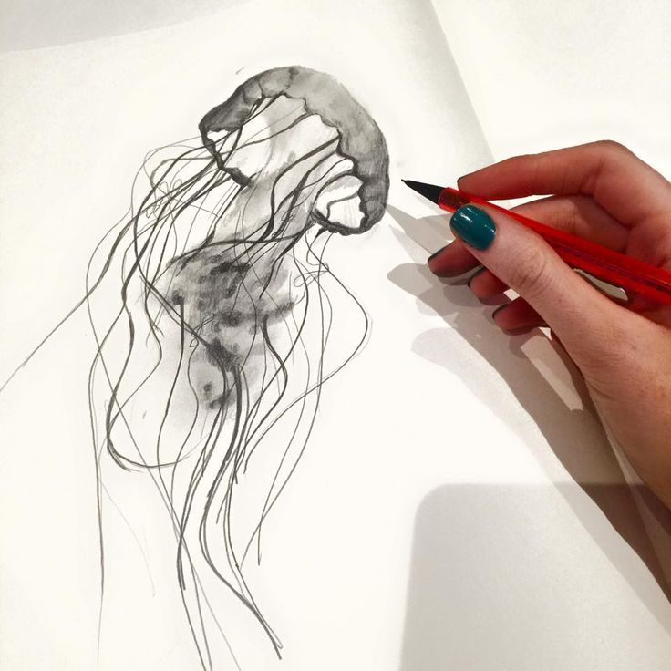 Realistic Jellyfish Drawing at GetDrawings | Free download