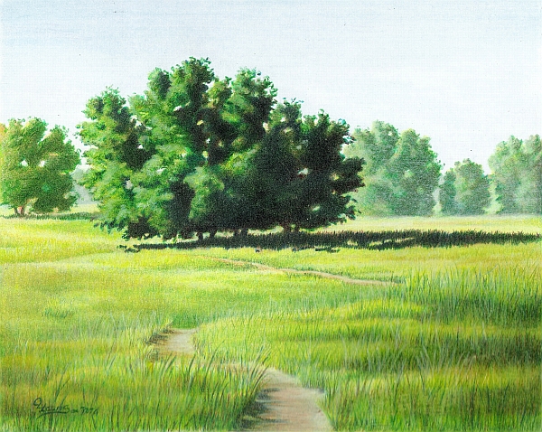 Realistic Landscape Drawing At Getdrawings 