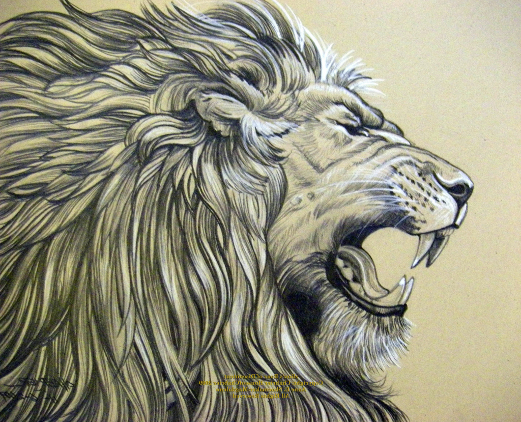 Realistic Lion Drawing at GetDrawings Free download