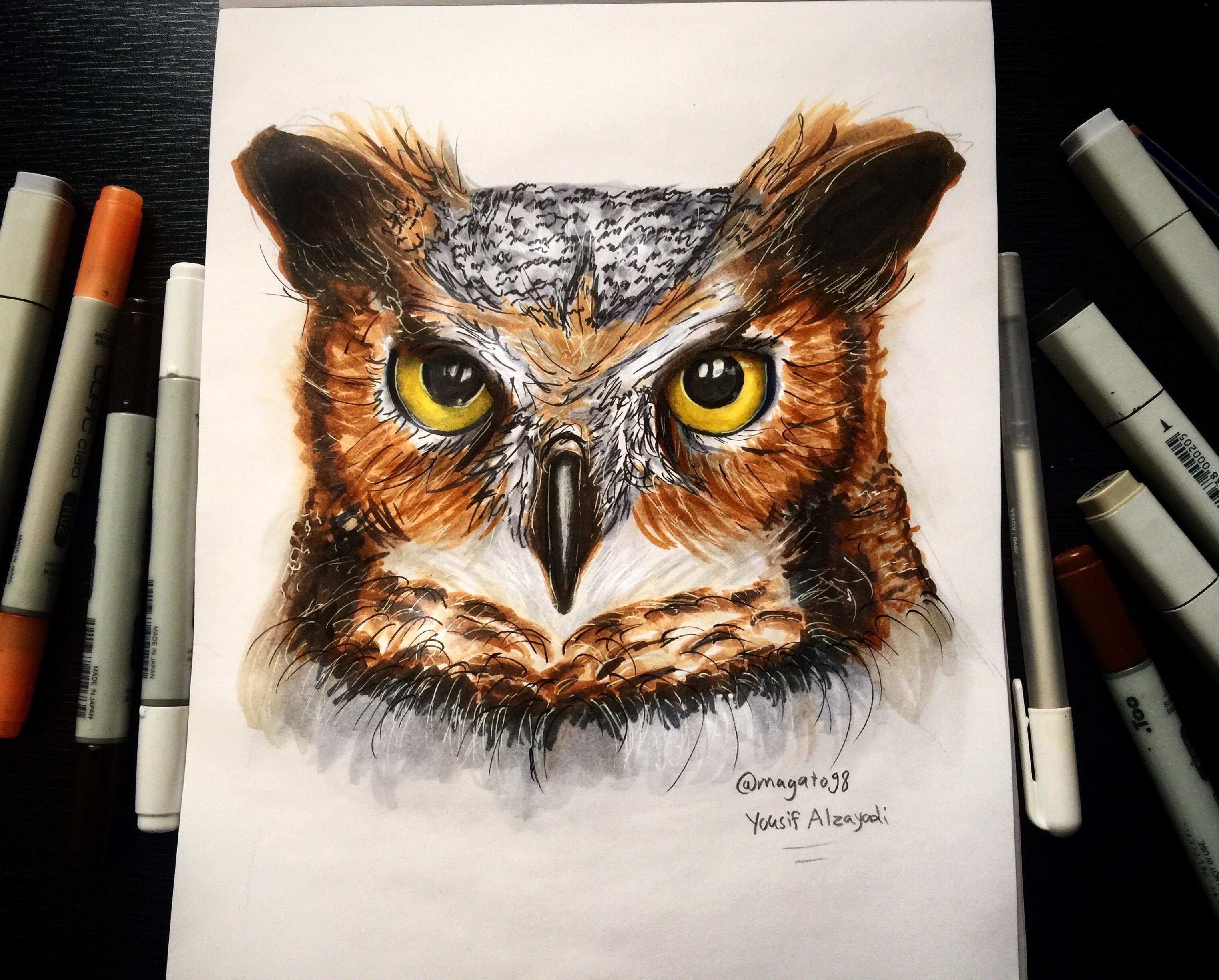 Realistic Owl Drawing at GetDrawings Free download