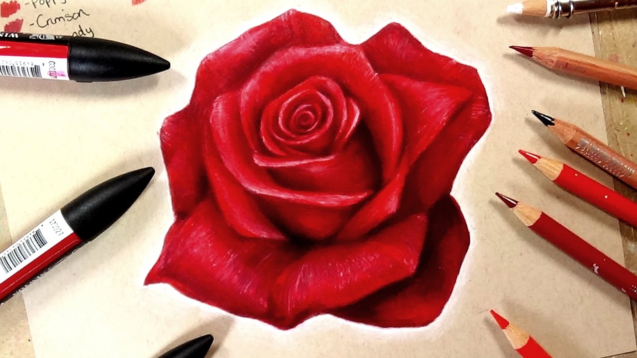 Realistic Rose Drawing at GetDrawings Free download