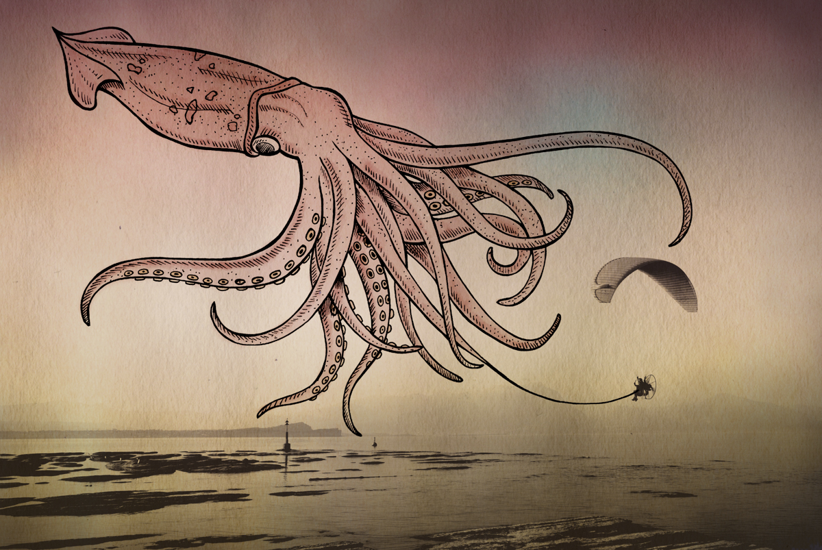 Realistic Squid Drawing at GetDrawings Free download