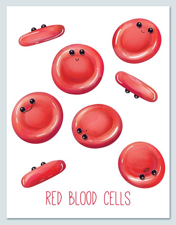 Red Blood Cells Drawing at GetDrawings Free download