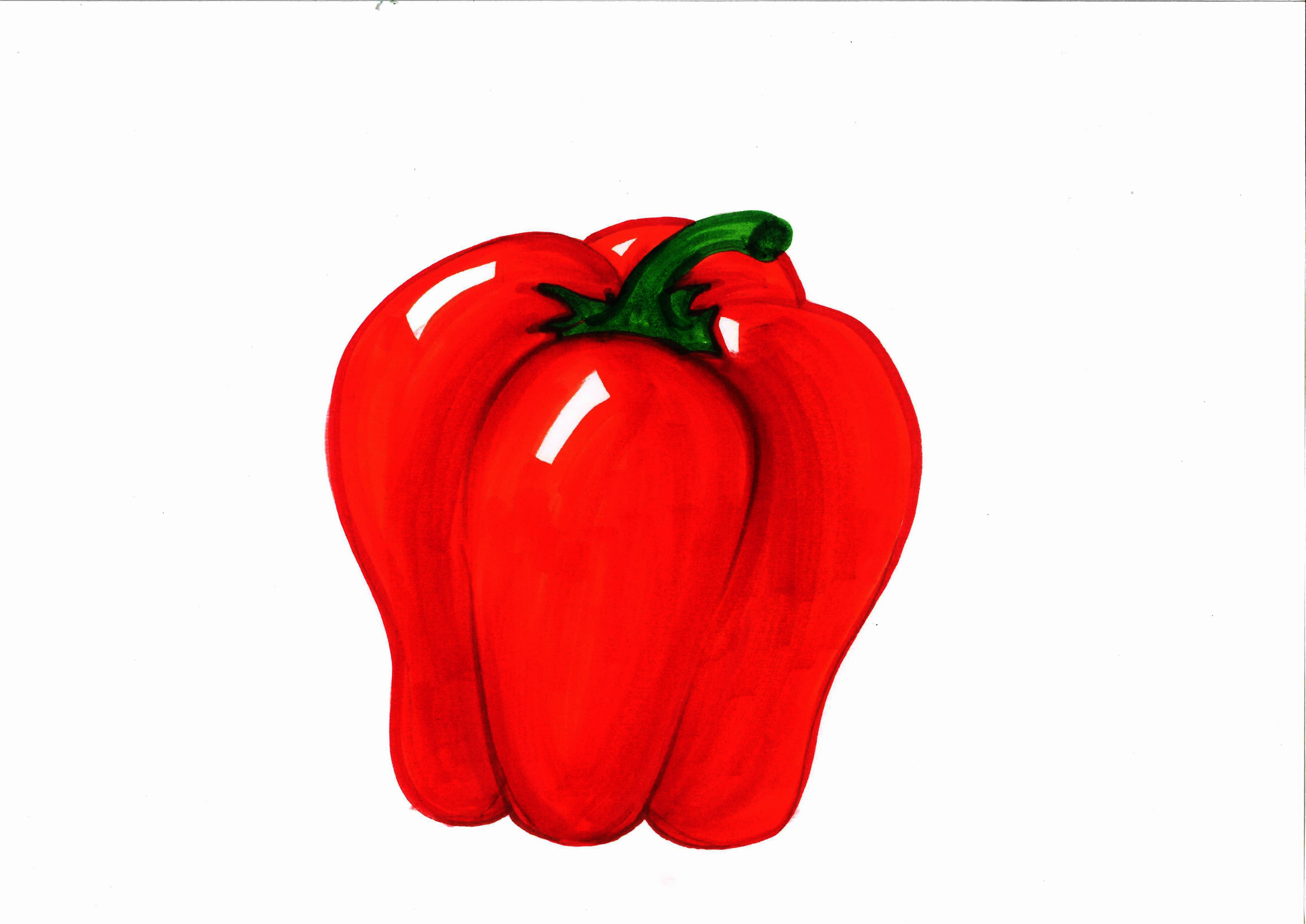 The best free Paprika drawing images. Download from 25 free drawings of