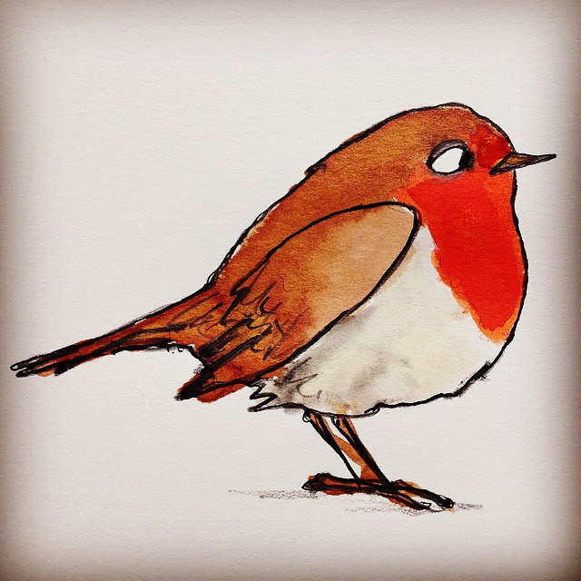Red Robin Bird Drawing at GetDrawings Free download