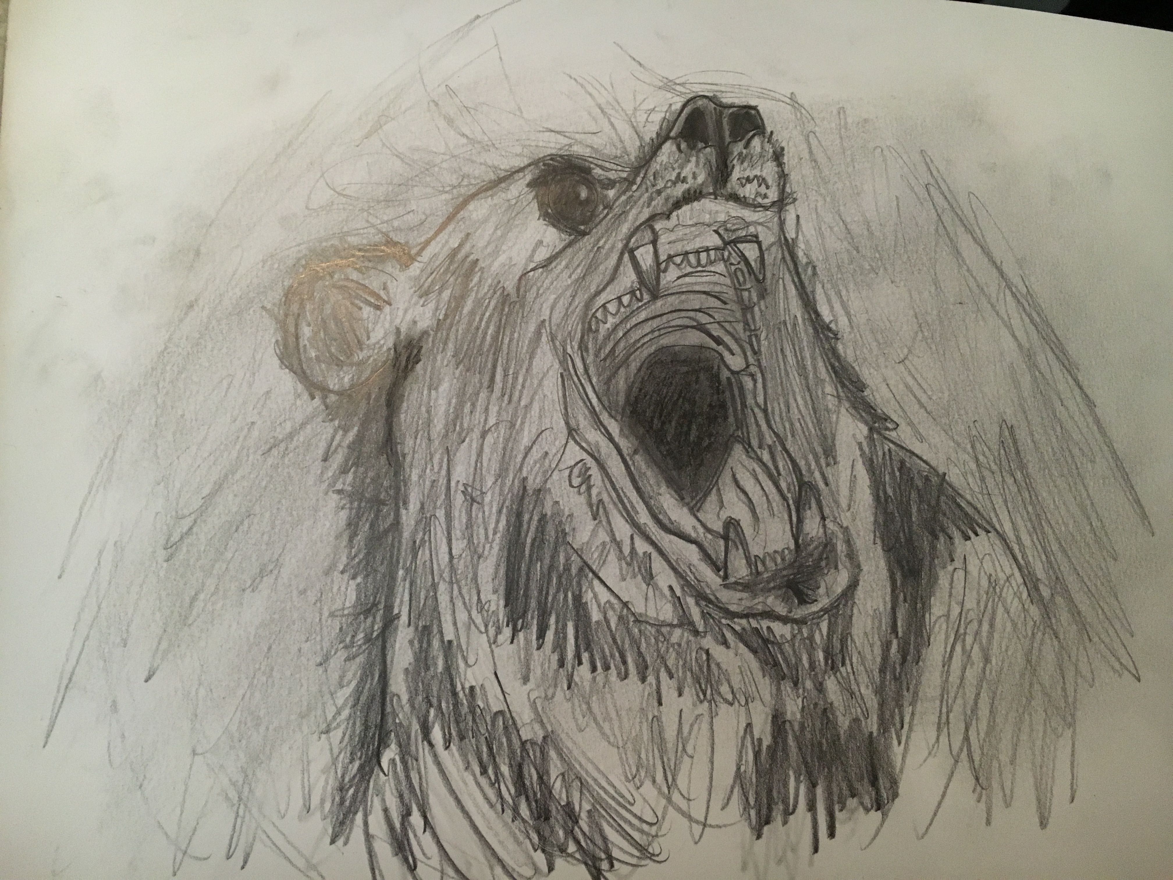 Roaring Bear Drawing at GetDrawings Free download