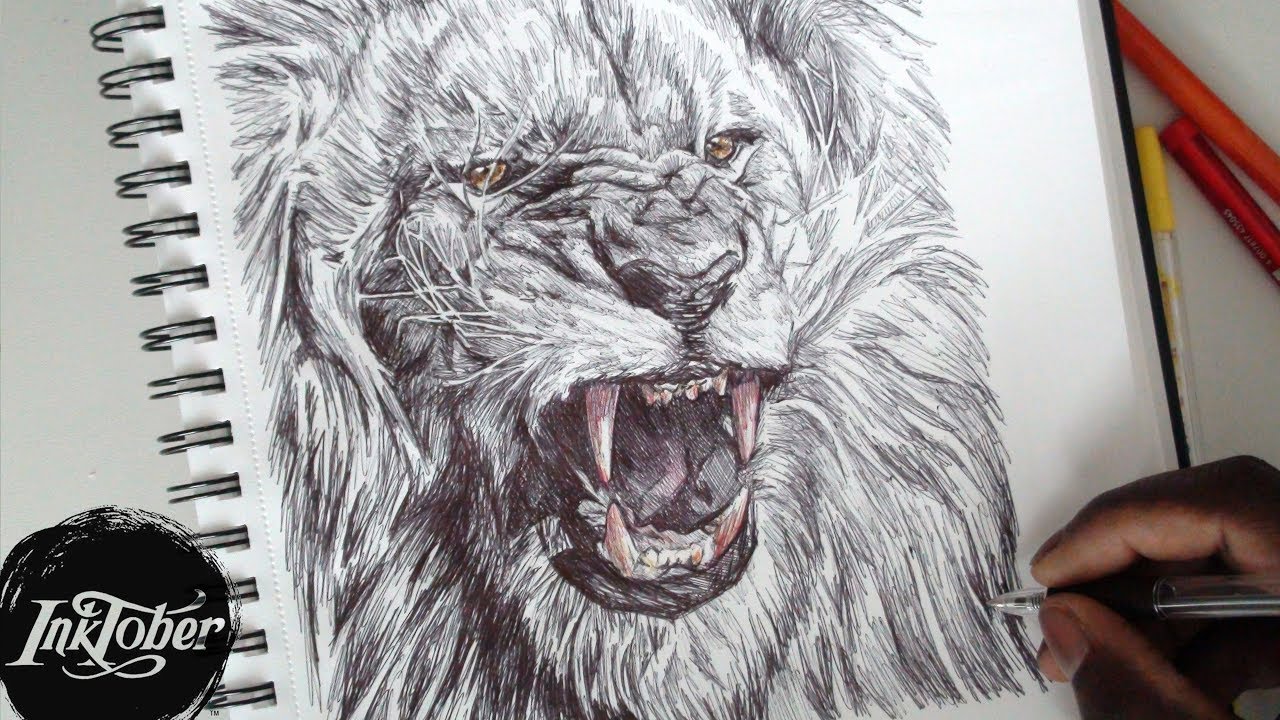 Roaring Lion Drawing At Getdrawings Free Download