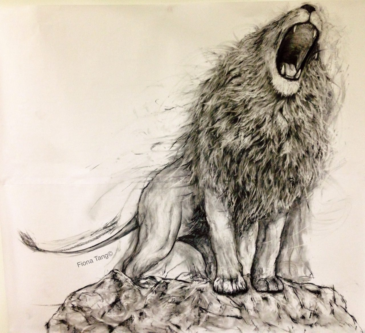 Roaring Lion Drawing at GetDrawings Free download