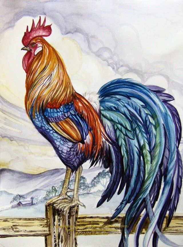 Top How To Draw Rooster of all time Check it out now 