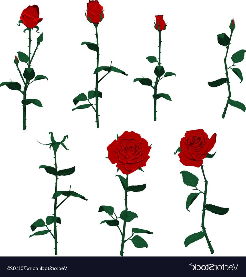 Rose Border Drawing at GetDrawings | Free download