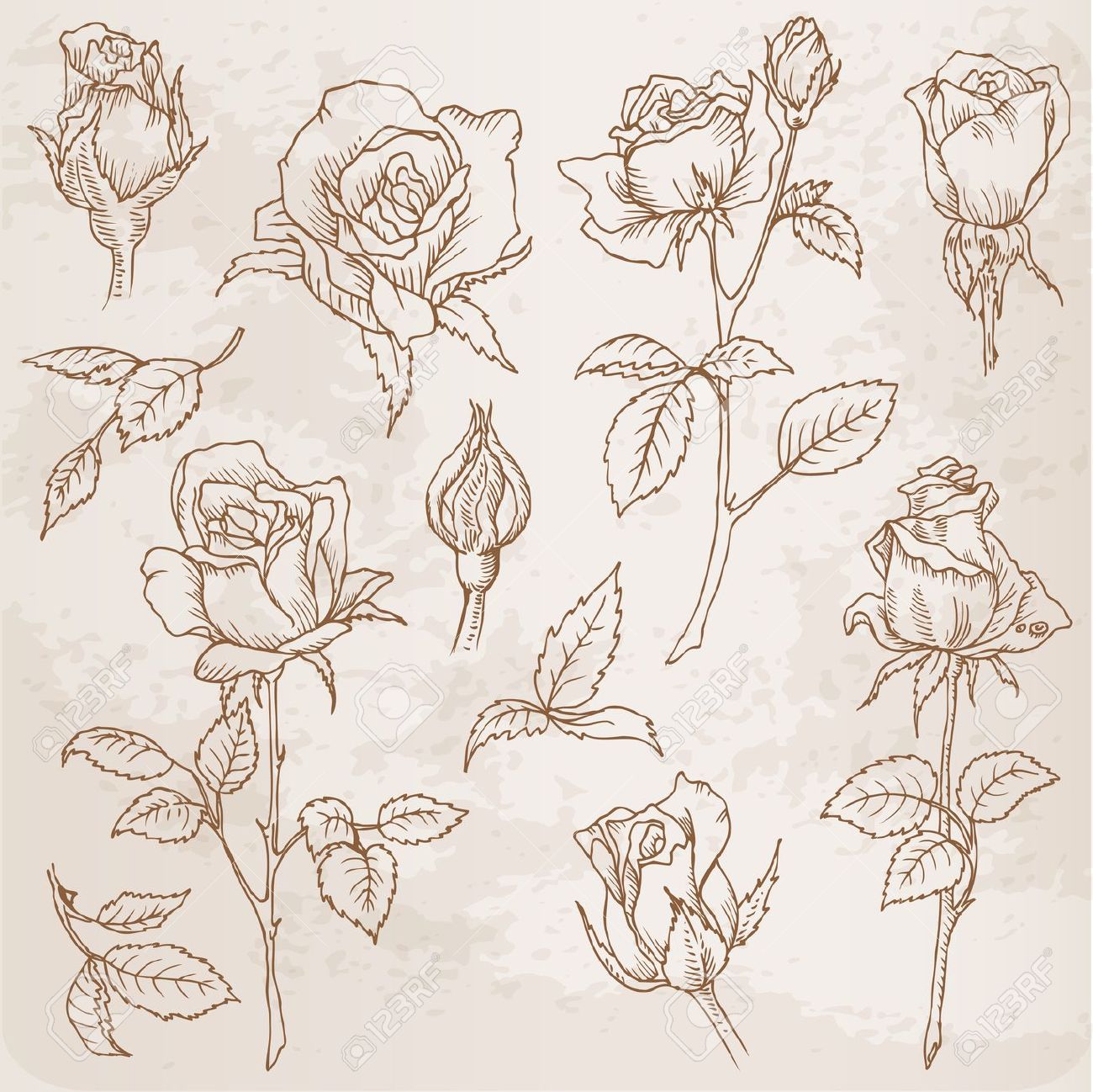 Rose Bud Drawing at GetDrawings Free download