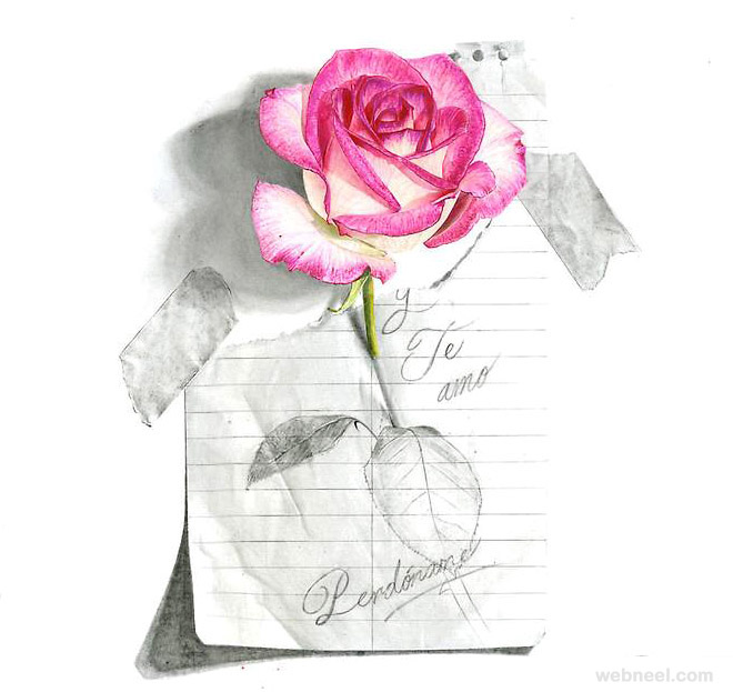 Featured image of post Pencil Shading Rose Flower Drawing With Colour : First i painted dry on dry and then i wet the drawing with a brush.