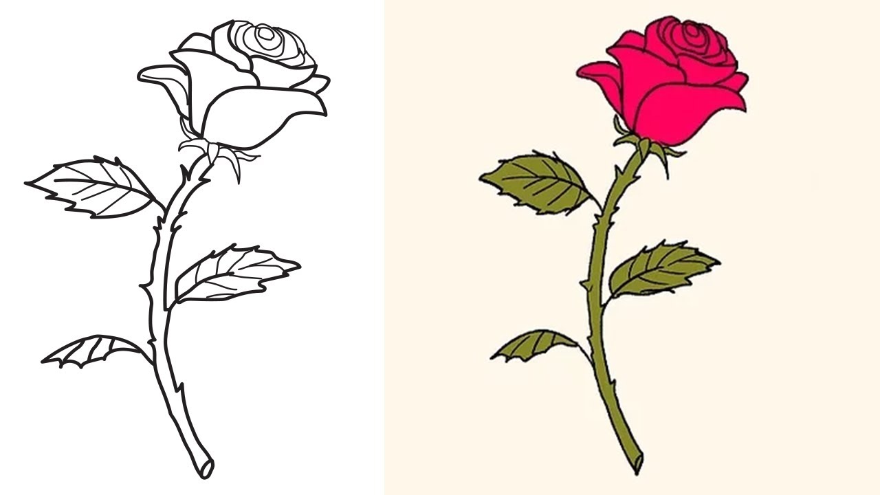 How To Draw A Rose Plant Step By Step