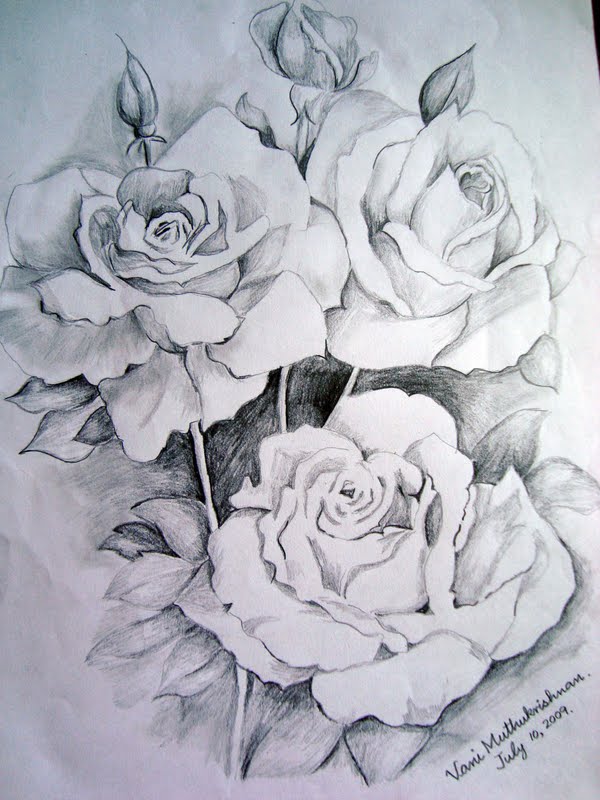 Rose Flower Pencil Drawing at GetDrawings | Free download