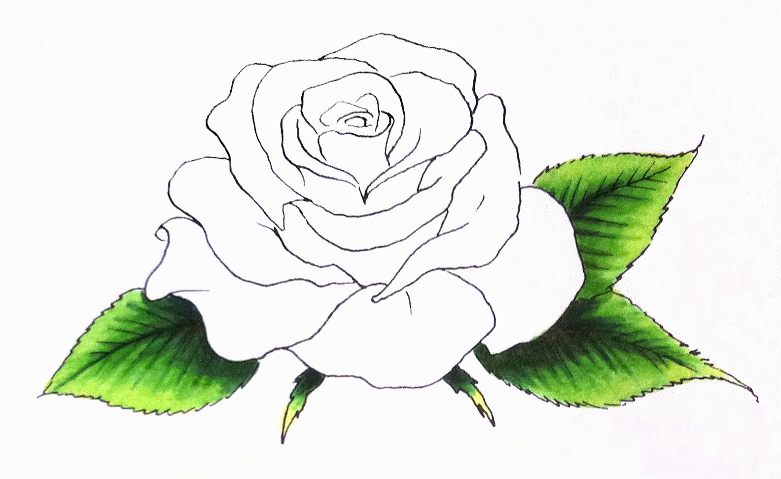 Rose Leaf Drawing at GetDrawings Free download