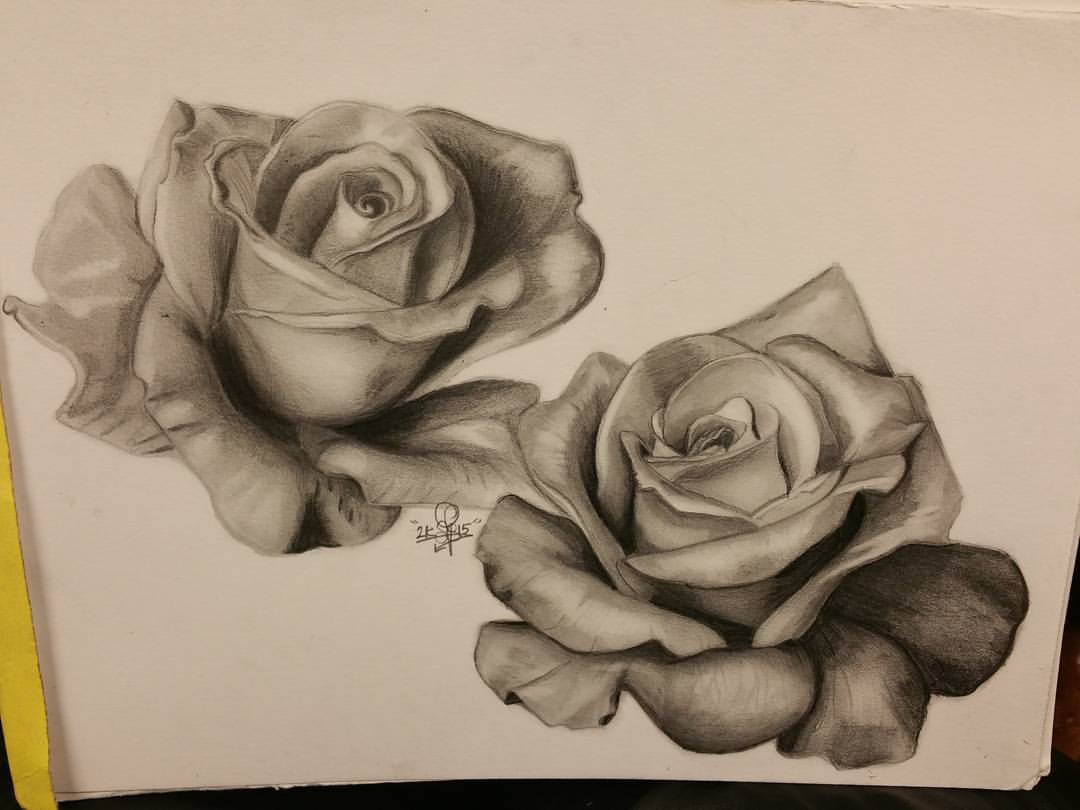 Rose Realistic Drawing at GetDrawings | Free download