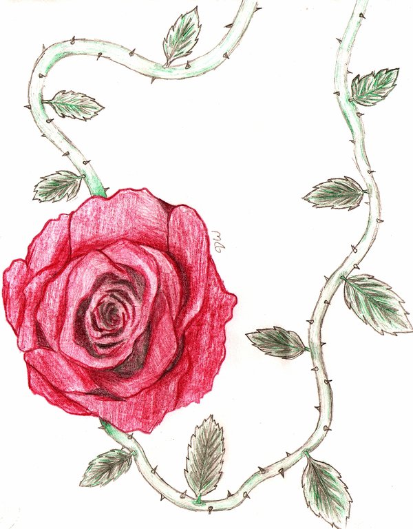 Roses With Vines Drawing at GetDrawings Free download