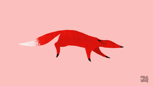 Running Fox Drawing at GetDrawings Free download