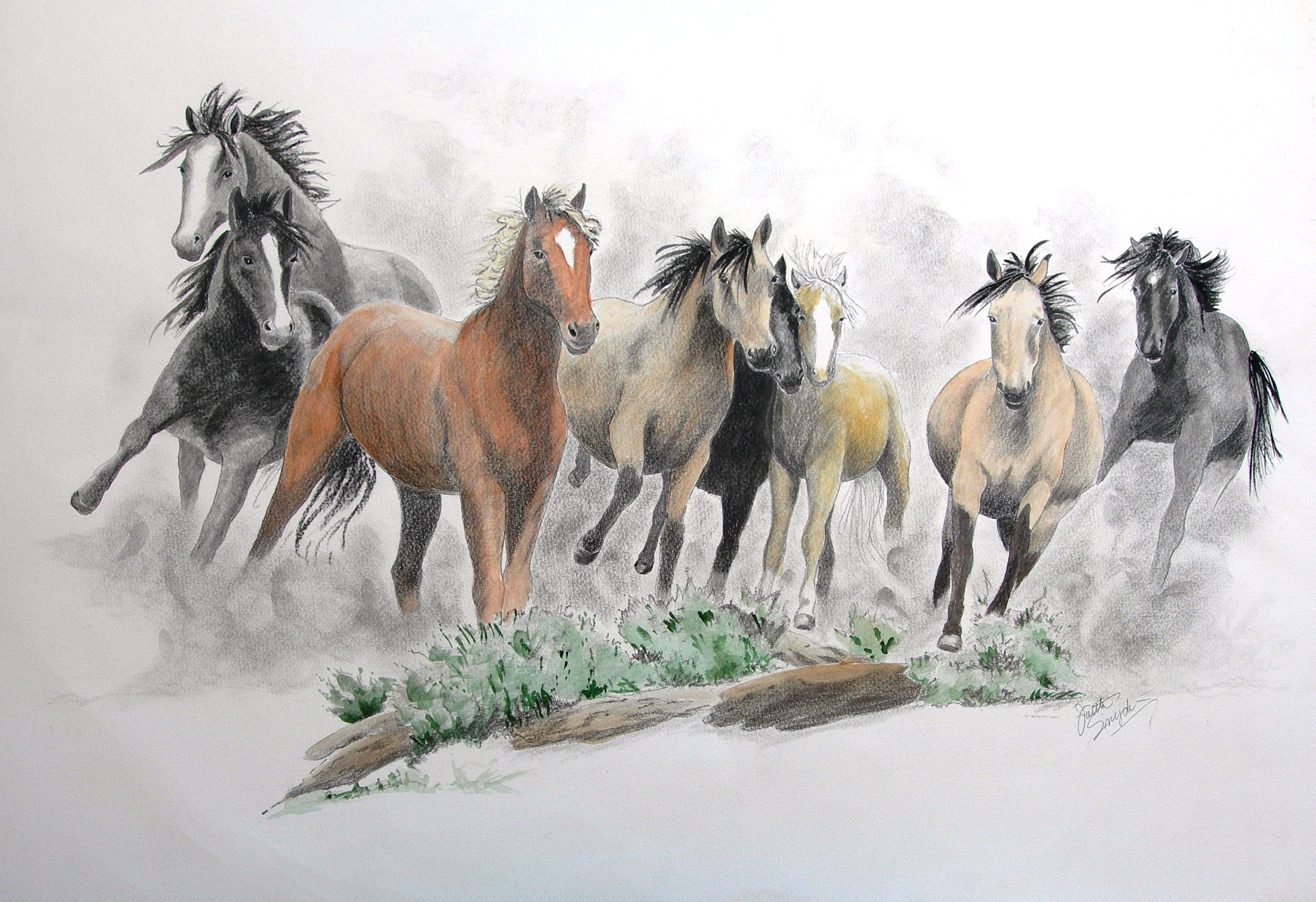  How To Draw Wild Horses  Learn more here 