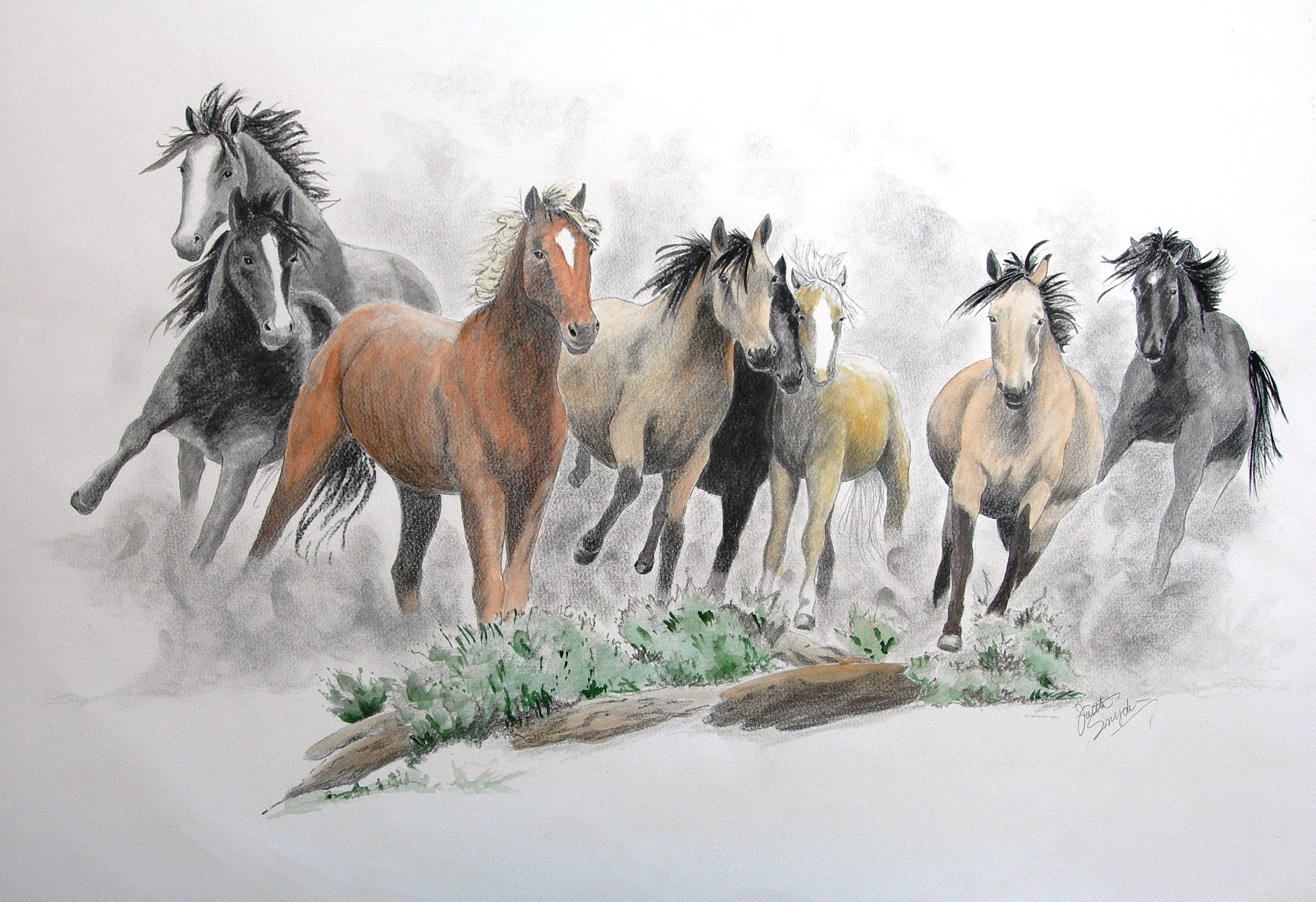 Running Horse Drawing at GetDrawings | Free download