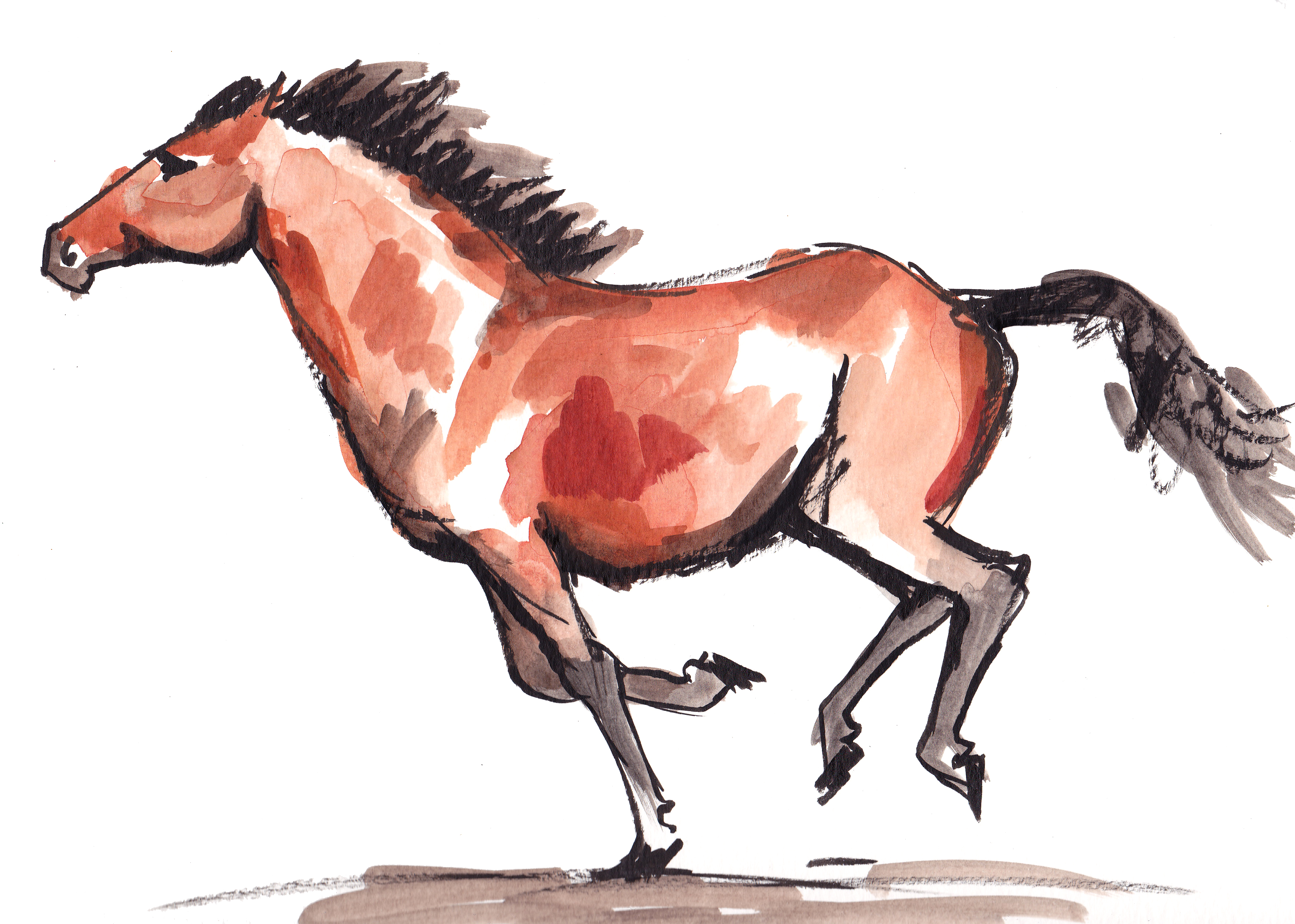 Running Horses Drawing at GetDrawings | Free download