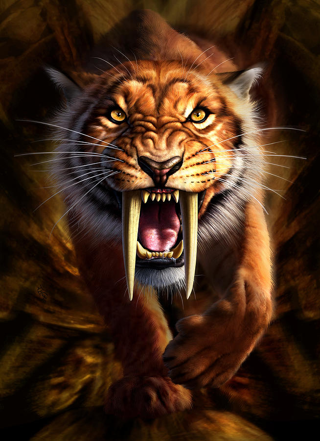 Saber Tooth Tiger Drawing at GetDrawings Free download