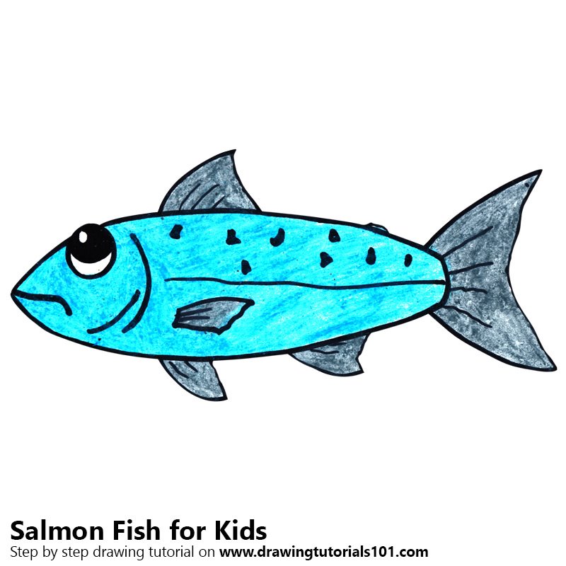 Salmon Drawing Image at GetDrawings Free download