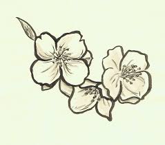 The best free Sampaguita drawing images. Download from 35 free drawings