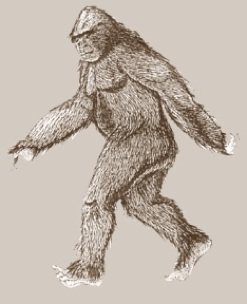 Sasquatch Drawing at GetDrawings | Free download