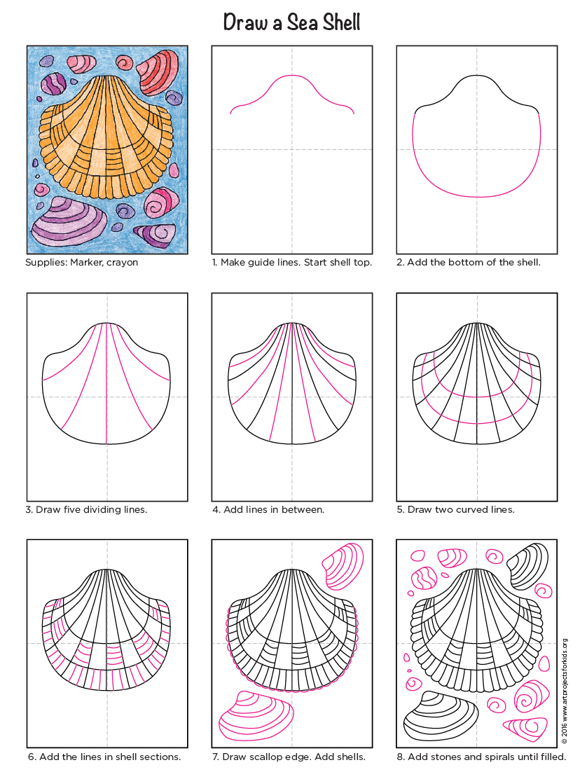 Scallop Shell Drawing at GetDrawings Free download