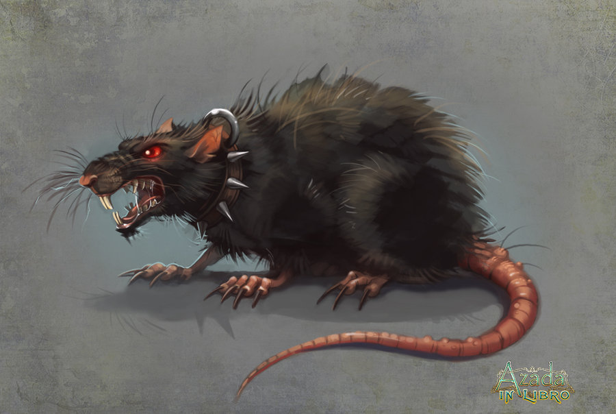 Scary Rat Drawing at GetDrawings Free download