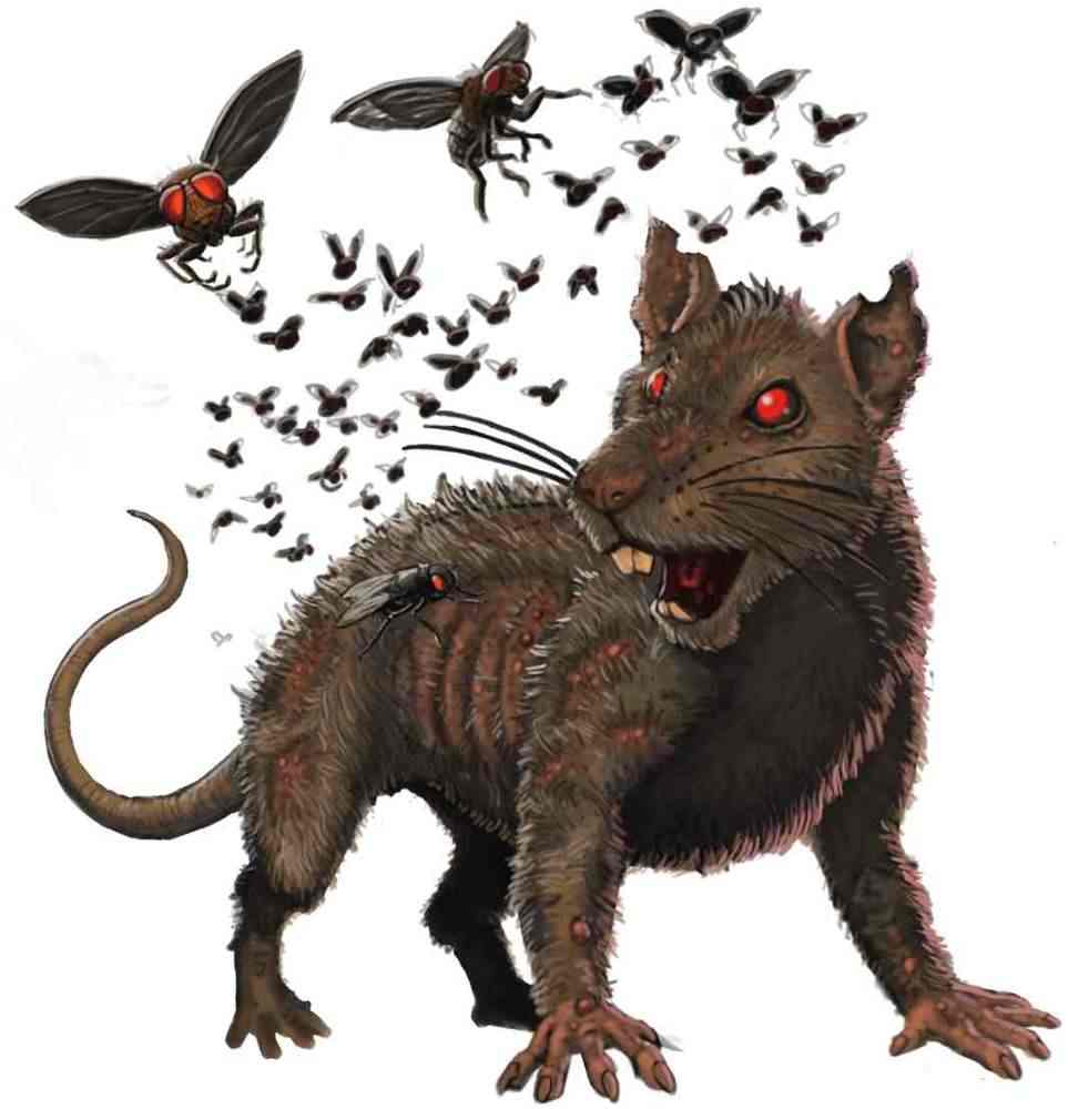 Scary Rat Drawing at GetDrawings Free download