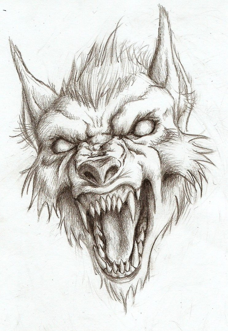 Scary Wolf Drawing at GetDrawings Free download