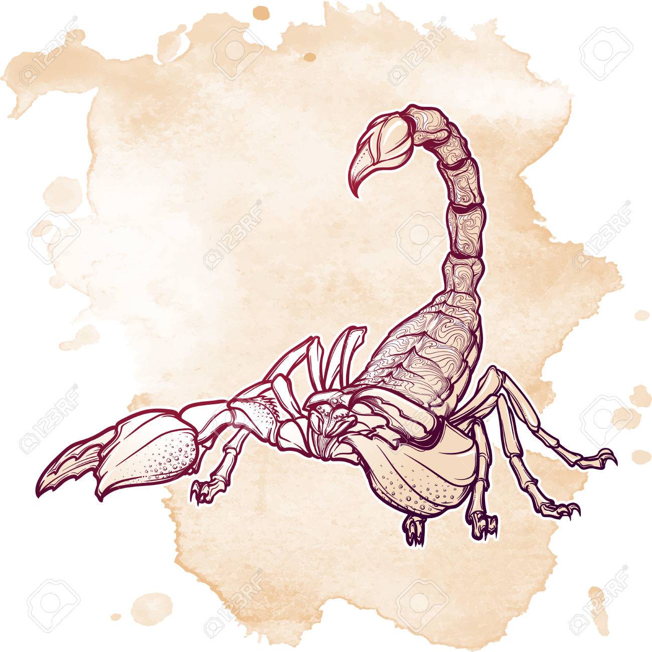 Scorpio Drawing at GetDrawings | Free download