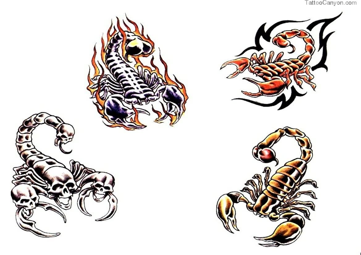 Scorpion Tattoo Drawing at GetDrawings | Free download