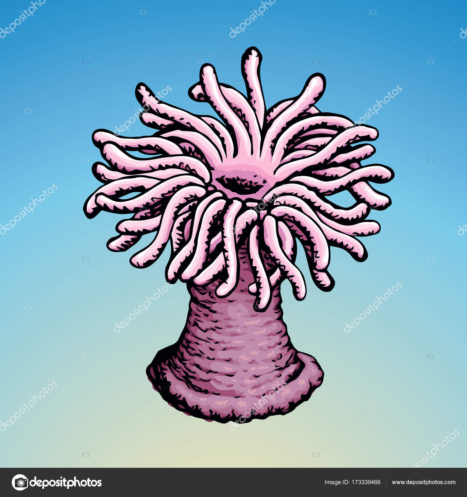 Sea Anemone Drawing at GetDrawings | Free download